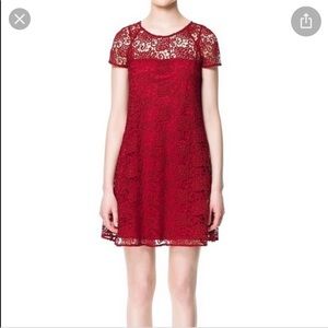 Zara Lace Overlay Dress